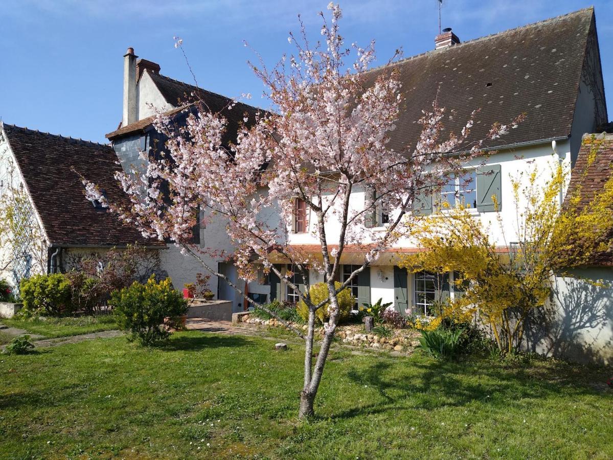 Bed and Breakfast La Ribambelle Saint-Brisson-sur-Loire Exterior foto
